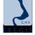 C.H.V Fregis logo